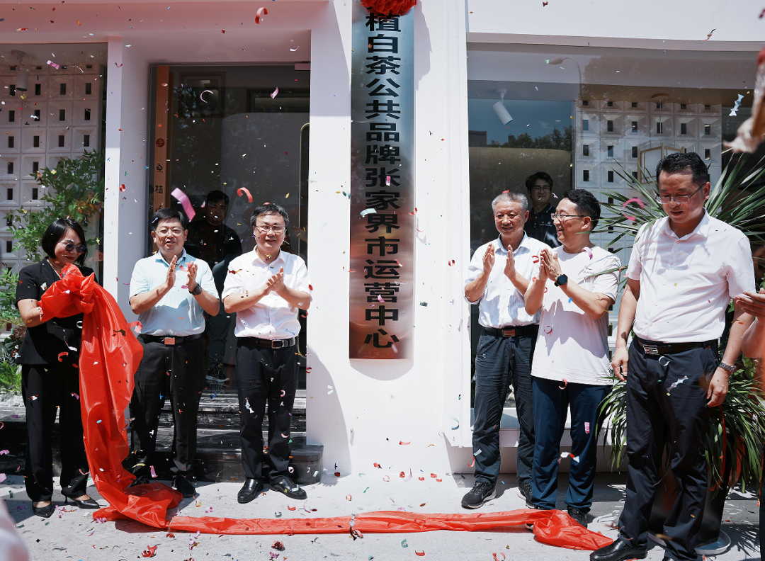 喜報！張家界白莓旗艦店盛裝開業(yè)暨桑植白茶公共品牌張家界市運營中心隆重揭牌！