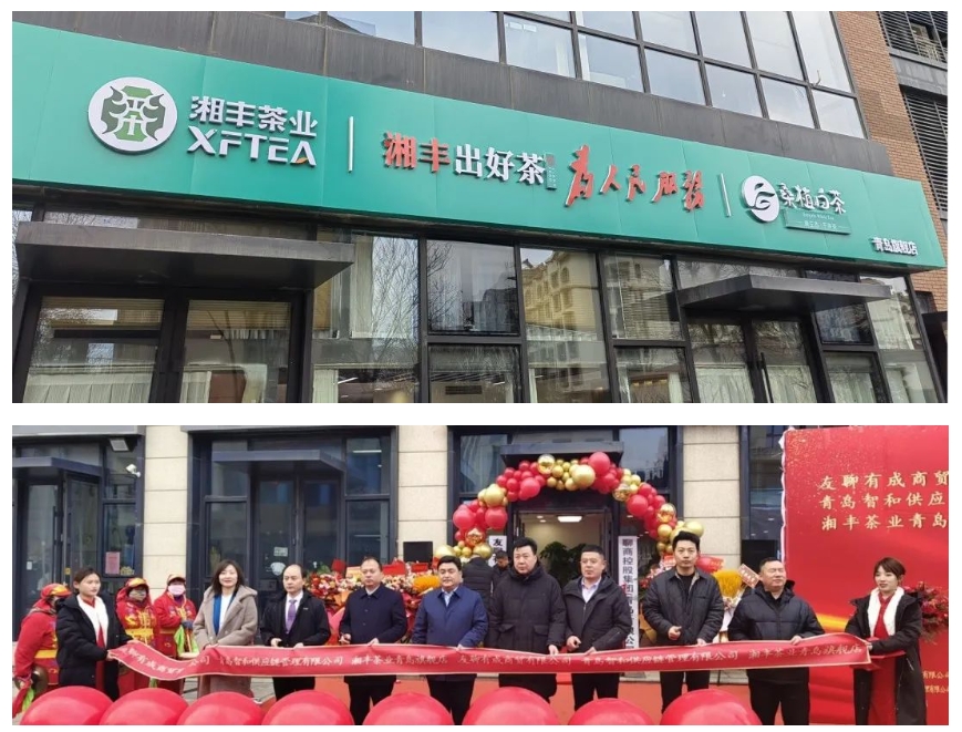 青島旗艦店盛大開業！湘豐茶業集團全國布局再下一城
