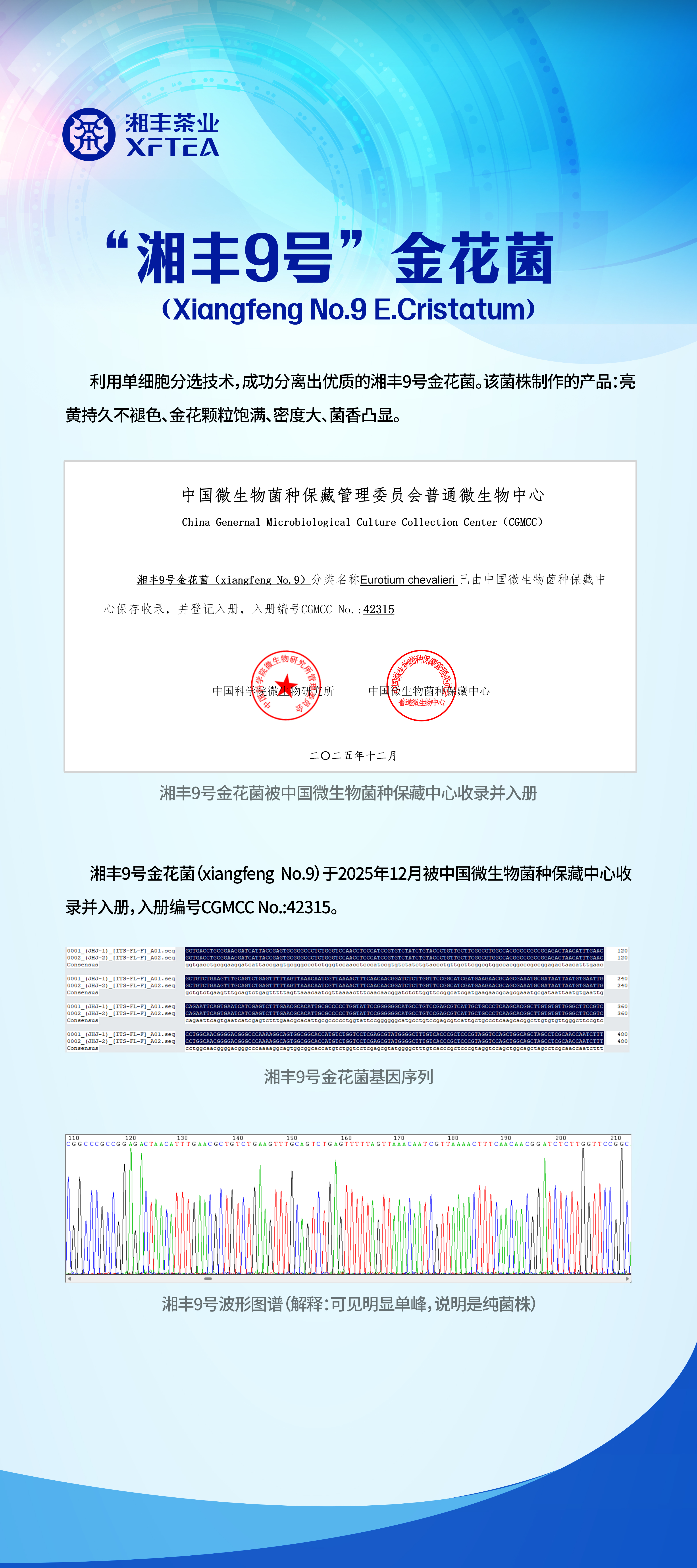 湘豐9號展架.jpg
