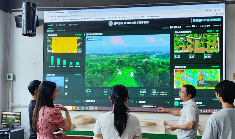 湘豐茶業智慧茶園項目通過驗收 國家茶葉產業技術體系助力湖南茶生產數字化
